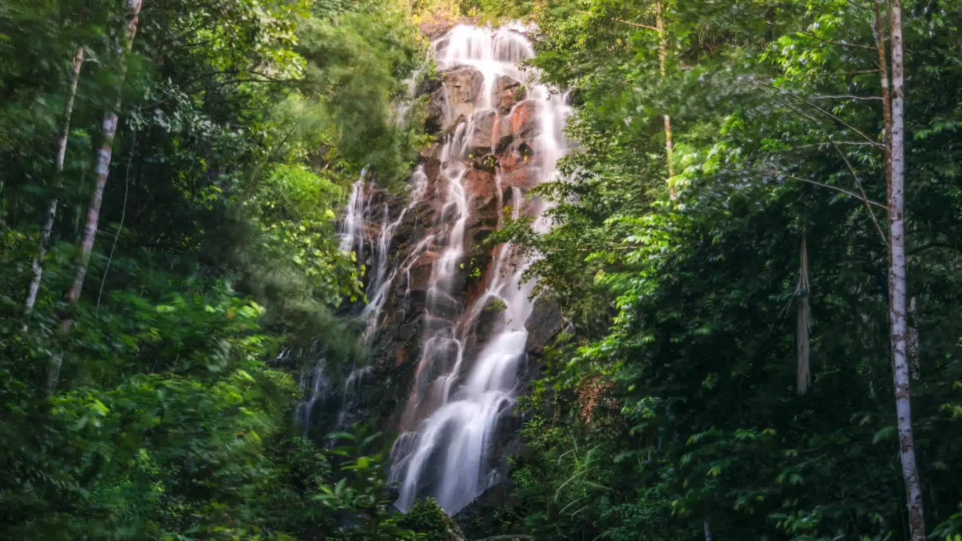 Phaeng Waterfall in Koh Phangan surrounded by lush jungle